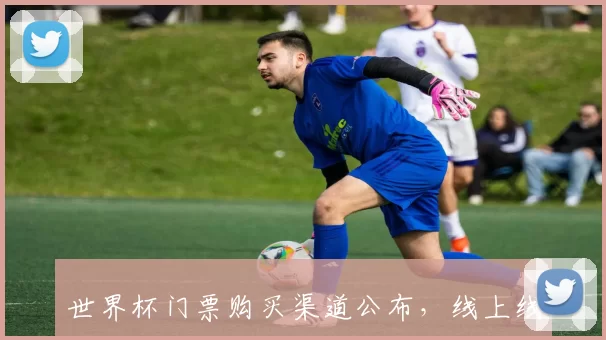 世界杯门票购买渠道公布,线上线下售票安排与退改防伪影响观赛秩序