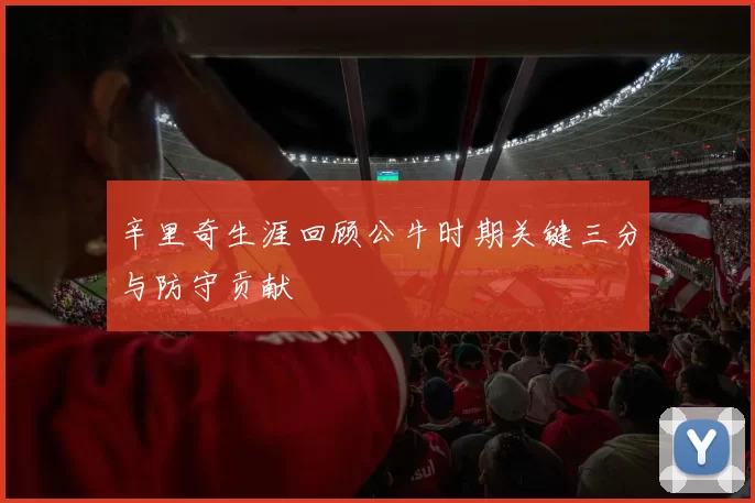 辛里奇生涯回顾公牛时期关键三分与防守贡献